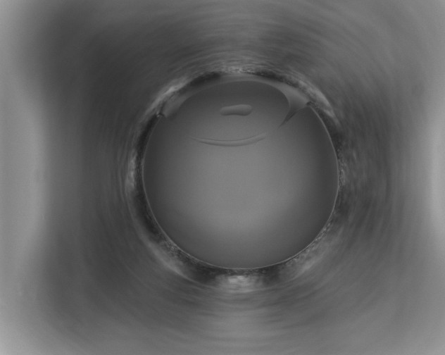 X0000113060163200908281141