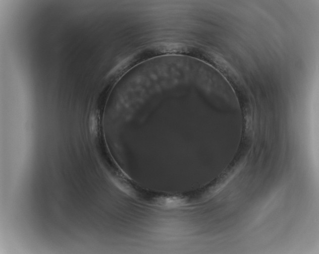 X0000113060165200908281141