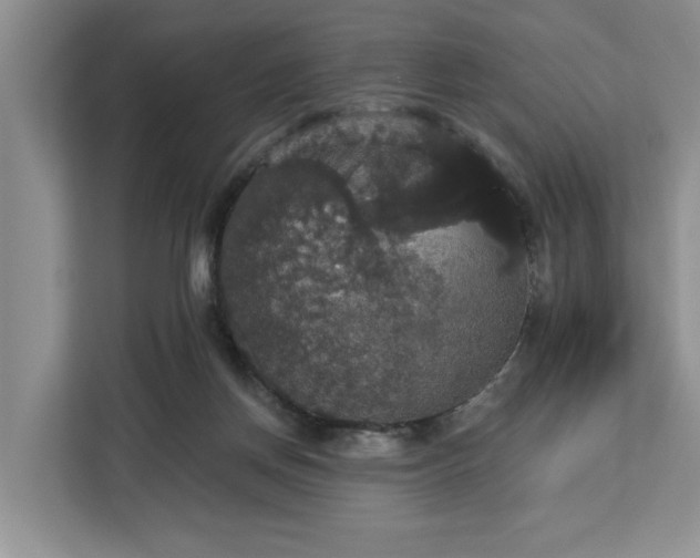 X0000113060166200908281141