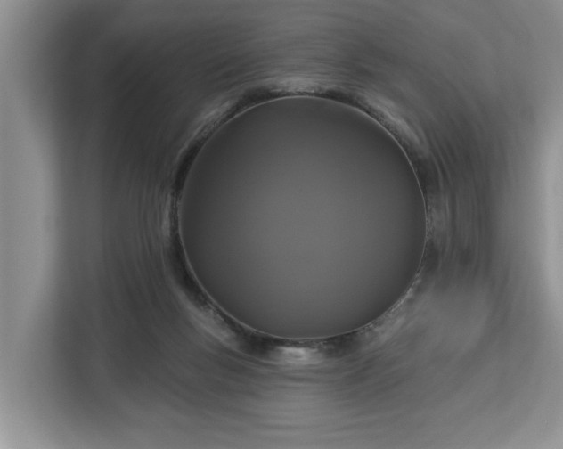 X0000113060167200908281141
