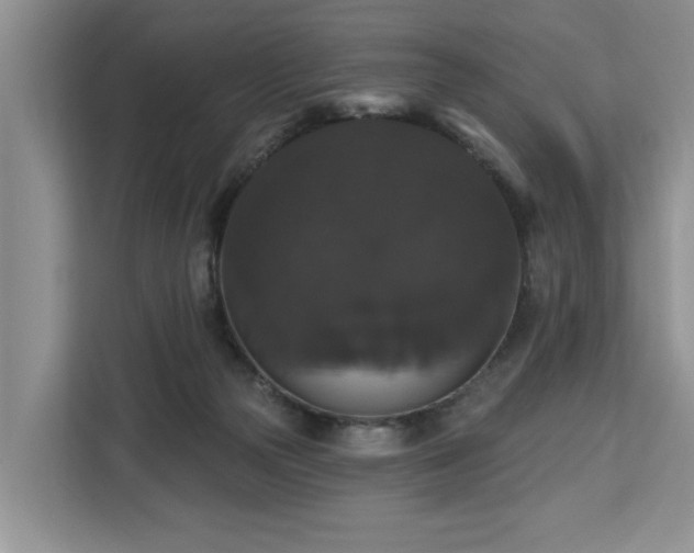X0000113060169200908281141