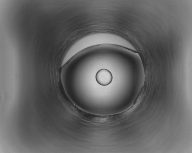 X0000113060170200908281141