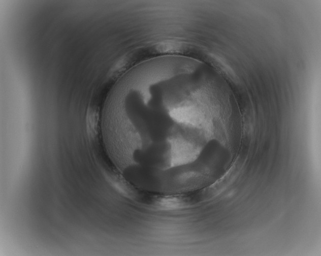 X0000113060171200908281141