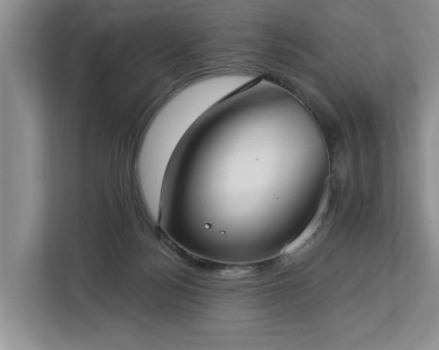 X0000113060172200908281141