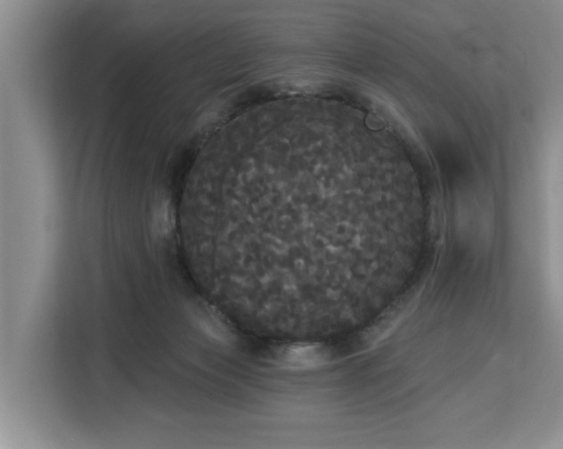 X0000113060173200908281141