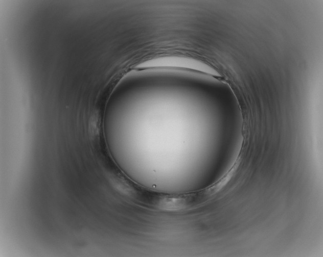 X0000113060174200908281141