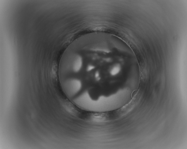 X0000113060175200908281141