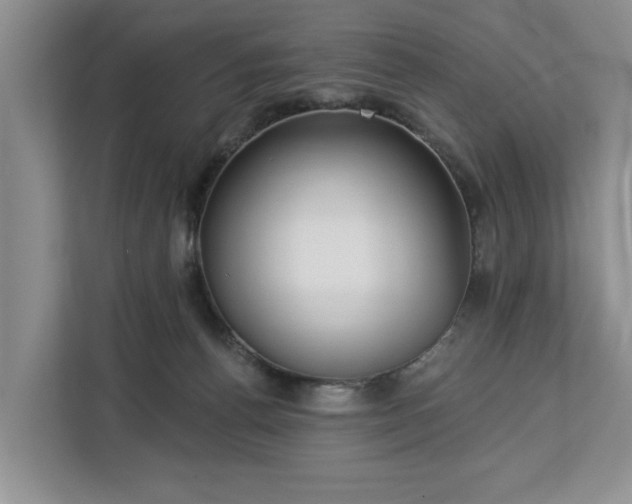 X0000113060176200908281141