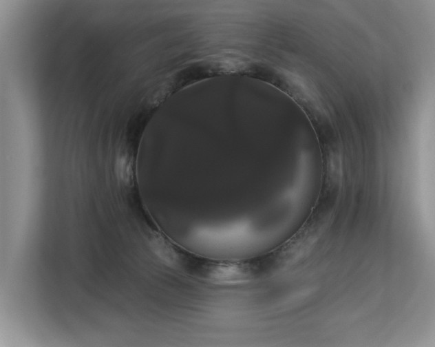 X0000113060177200908281141