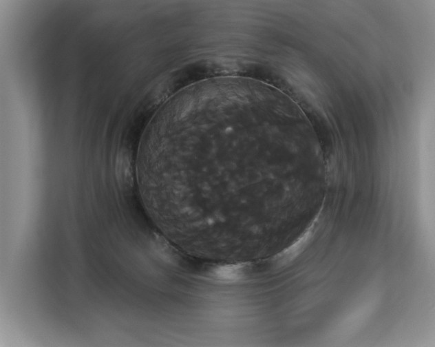 X0000113060178200908281141