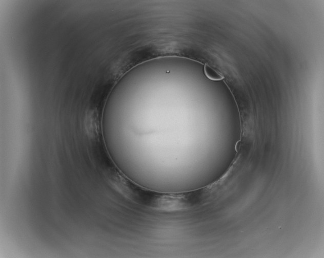 X0000113060179200908281141
