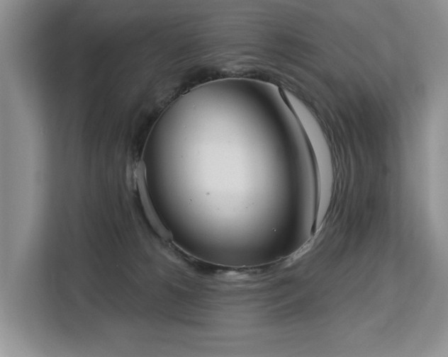 X0000113060180200908281141