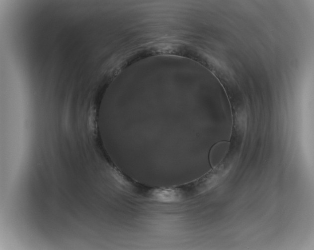 X0000113060181200908281141