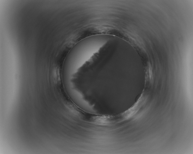 X0000113060182200908281141