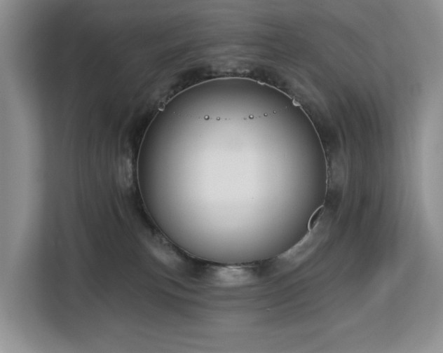 X0000113060183200908281141