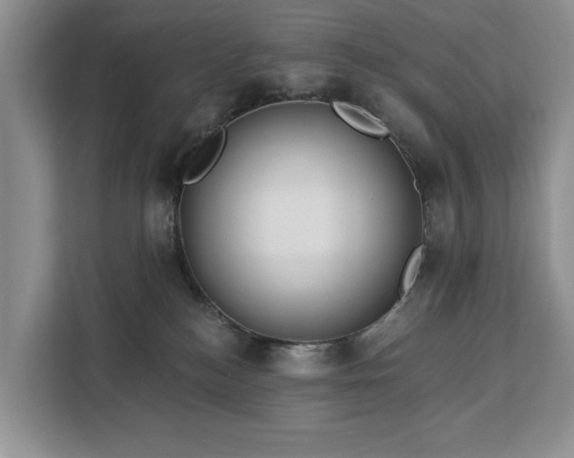 X0000113060184200908281141