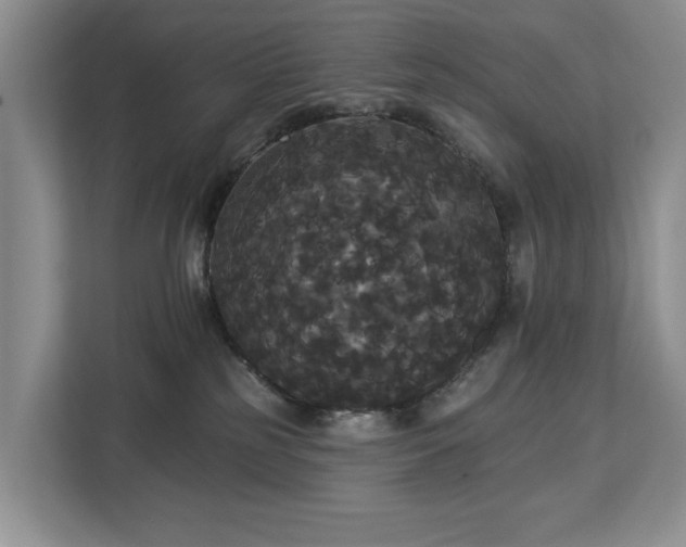 X0000113060185200908281141