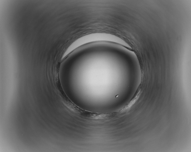 X0000113060186200908281141