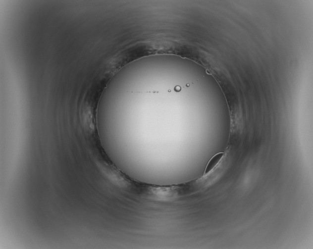 X0000113060187200908281141