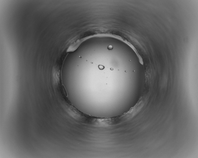 X0000113060188200908281141