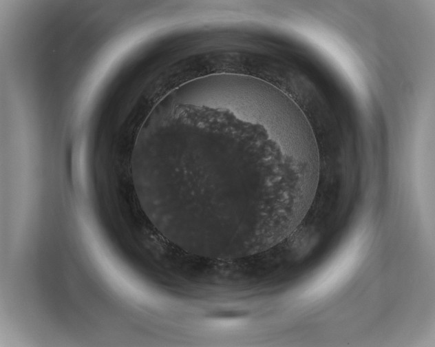 X0000113060189200908281141