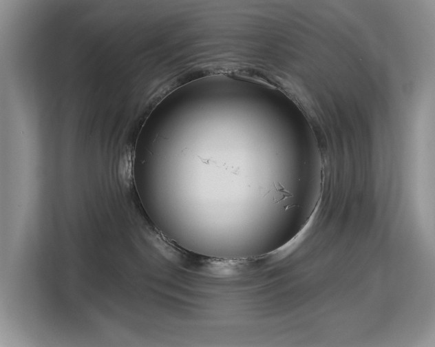 X0000113060190200908281141