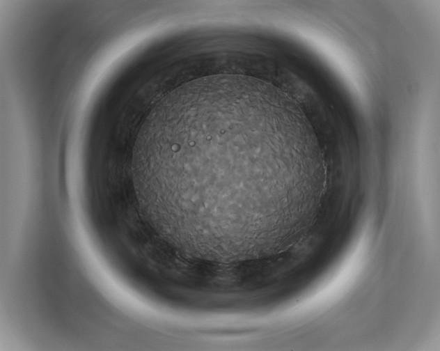 X0000113060191200908281142