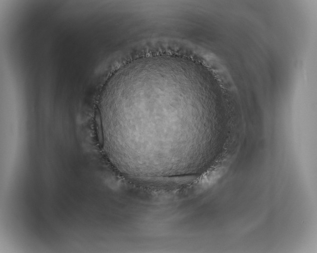 X0000113060192200908281142