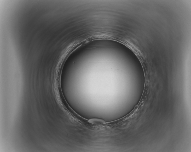 X0000113060193200908281141
