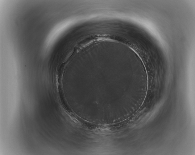 X0000113060194200908281141