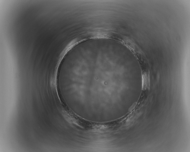 X0000113060195200908281141