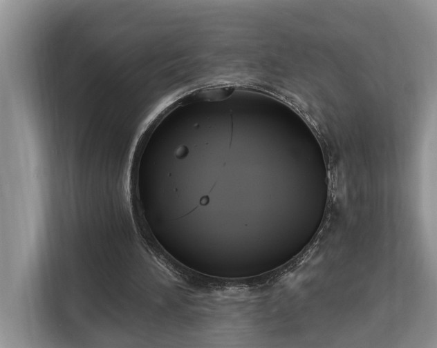X0000113060196200908281141