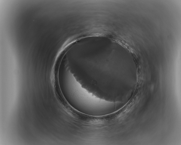 X0000113060198200908281141