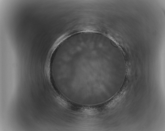 X0000113060199200908281141
