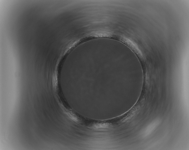 X0000113060202200908281141
