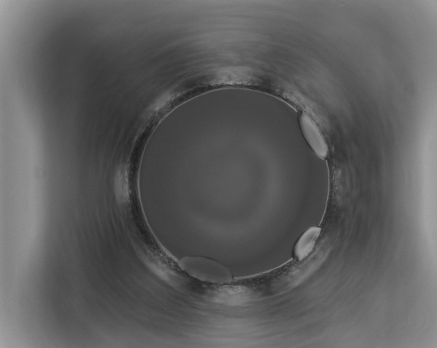 X0000113060203200908281141