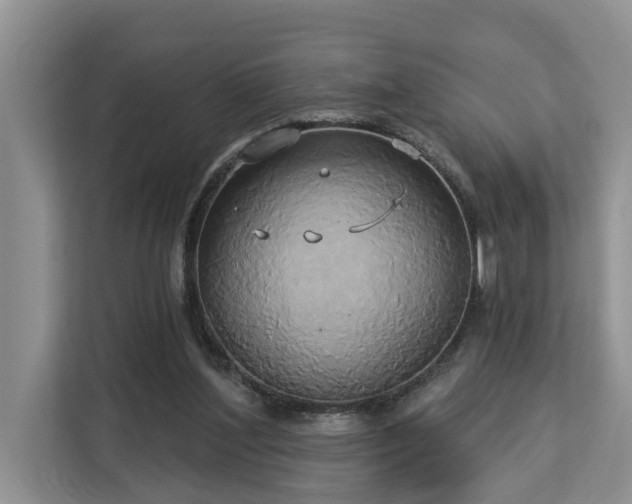 X0000113060204200908281141