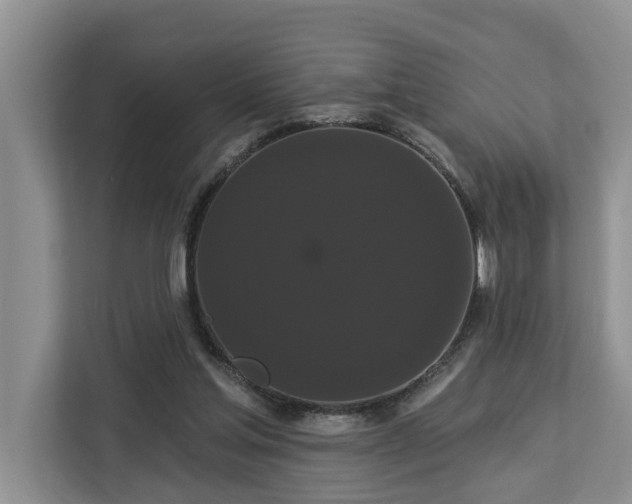 X0000113060205200908281141
