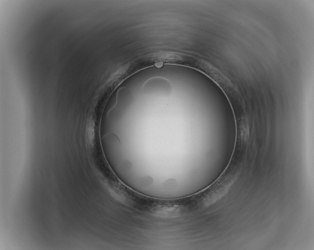 X0000113060206200908281141