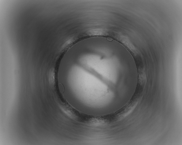 X0000113060207200908281141