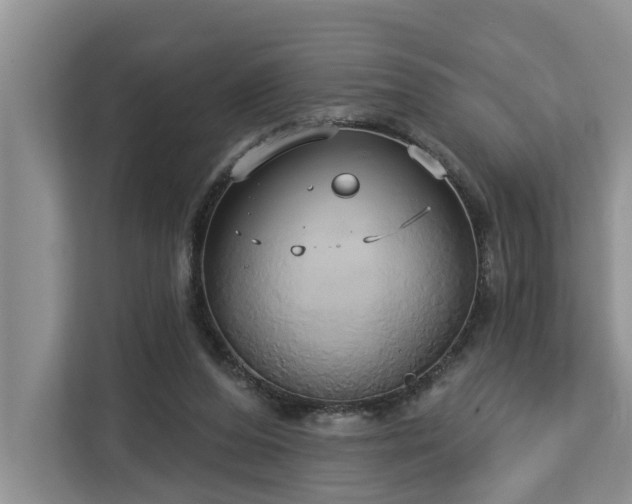 X0000113060208200908281141