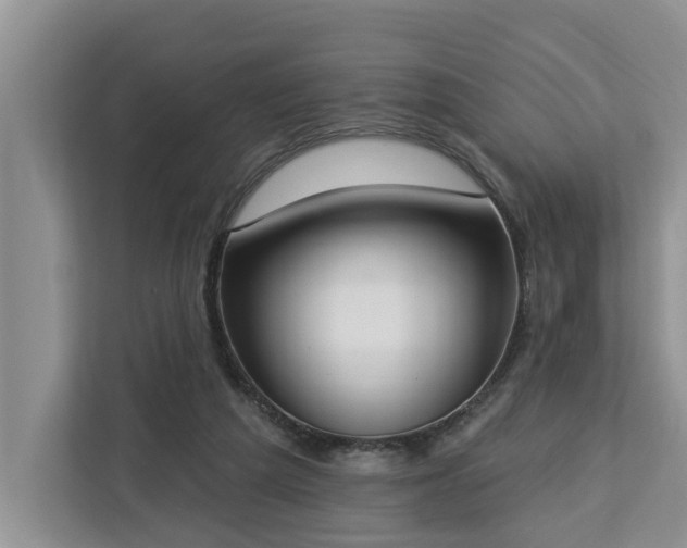 X0000113060209200908281141
