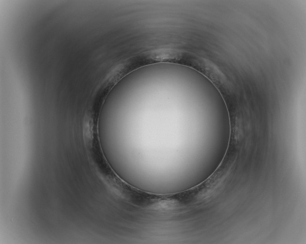 X0000113060210200908281141