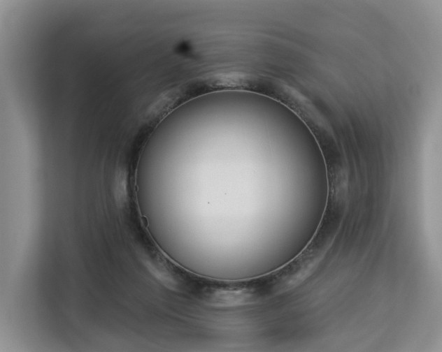 X0000113060213200908281141