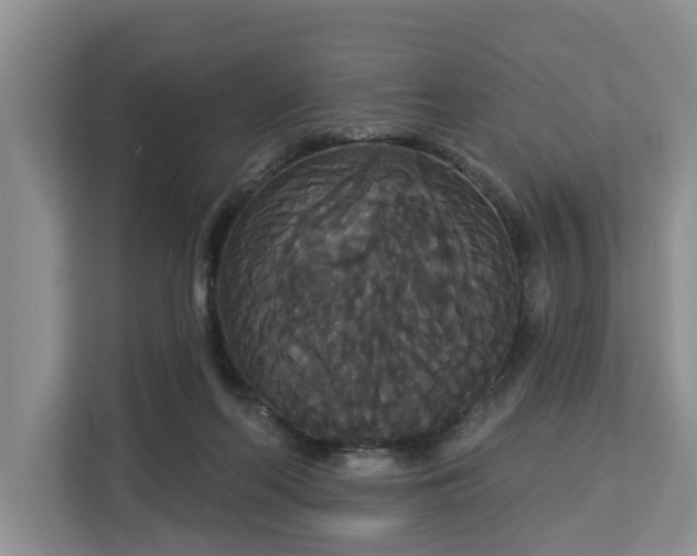 X0000113060214200908281141