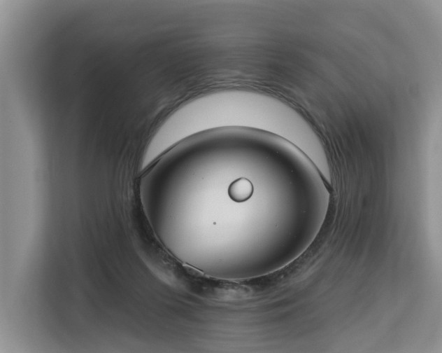 X0000113060215200908281141