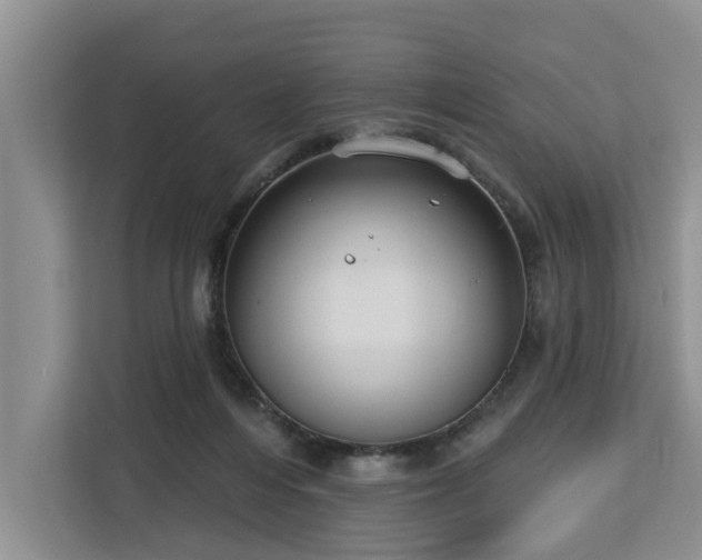 X0000113060216200908281141