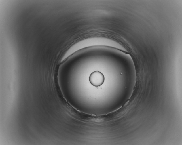 X0000113060217200908281141