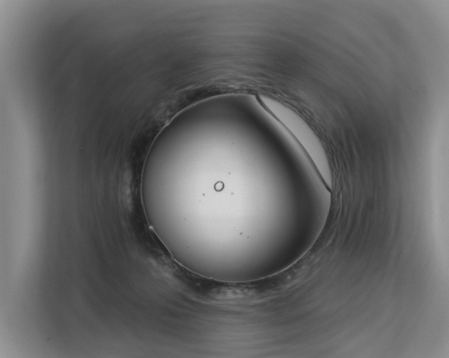 X0000113060223200908281141