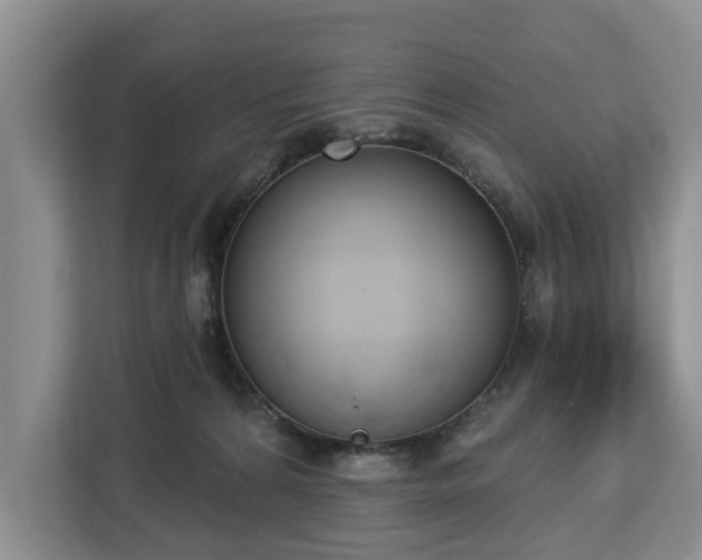 X0000113060224200908281140